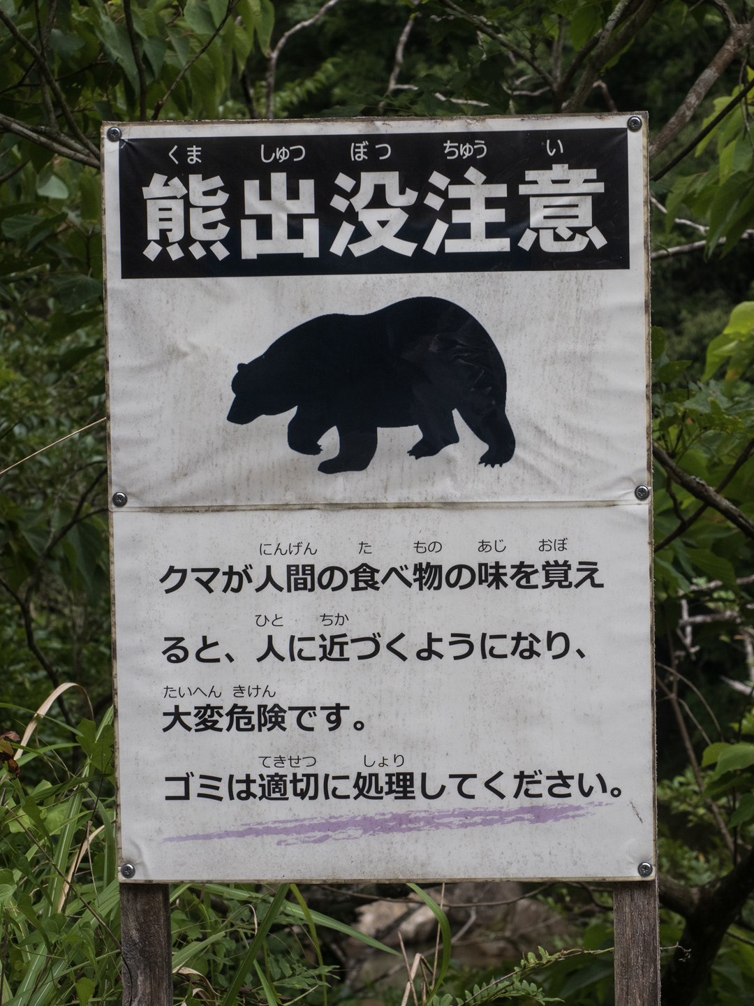 熊