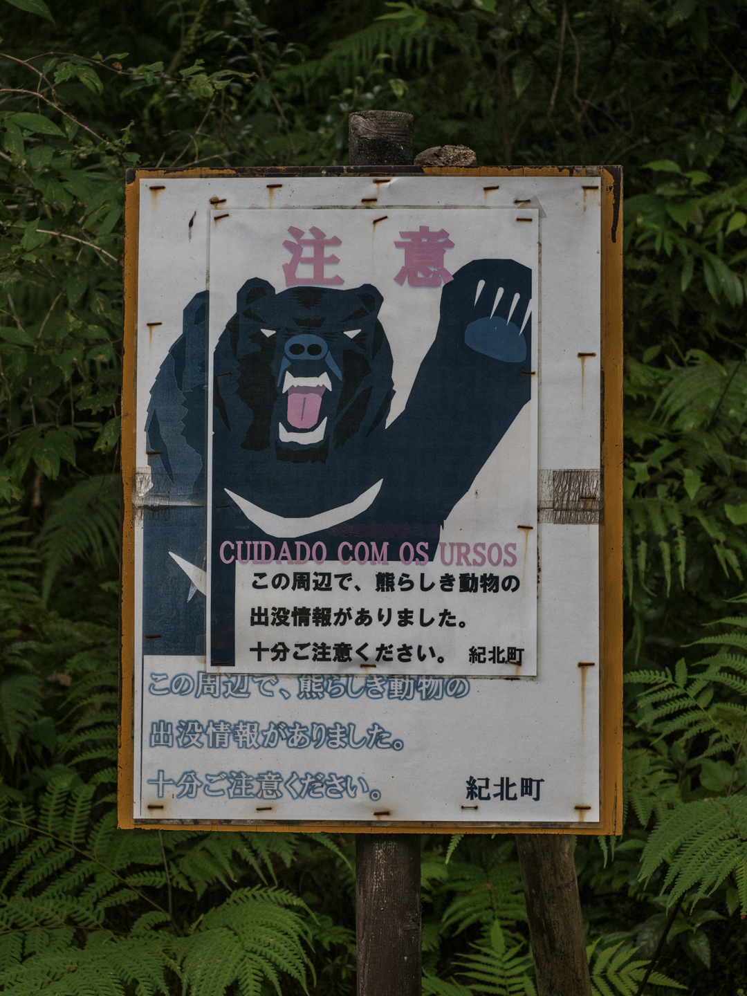 熊