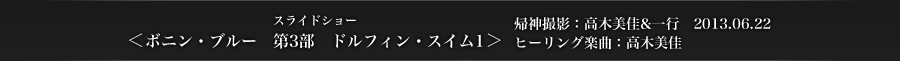 ＜ボニン・ブルー　第3部　ドルフィン・スイム1＞　帰神撮影：高木美佳&一行　2013.06.22　ヒーリング楽曲：高木美佳