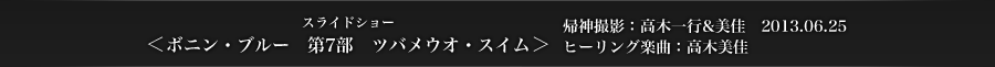 ＜ボニン・ブルー　第7部　ツバメウオ・スイム＞　帰神撮影：高木一行&美佳　2013.06.25　ヒーリング楽曲：高木美佳