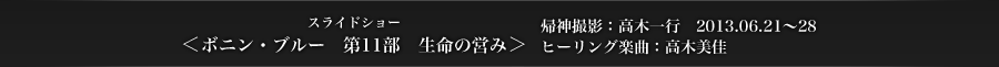 ＜ボニン・ブルー11＞　帰神撮影：高木一行　2013.06.21〜28　ヒーリング楽曲：高木美佳