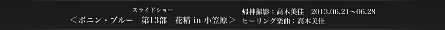 ＜ボニン・ブルー　第13部　花精 in 小笠原＞　帰神撮影：高木美佳　2013.06.21〜06.28　ヒーリング楽曲：高木美佳