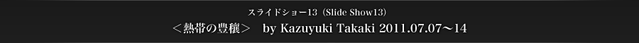 スライドショー13　＜熱帯の豊穰＞　by Kazuyuki Takaki 2011.07.07〜14 