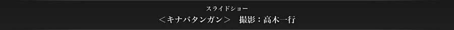 スライドショー　＜キナバタンガン＞