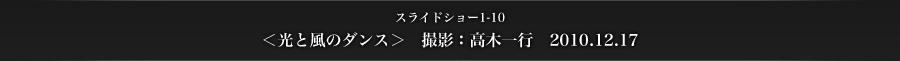スライドショー1-10　＜光と風のダンス＞　撮影：高木一行　2010.12.17