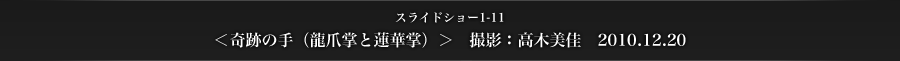 スライドショー1-11　＜奇跡の手（龍爪掌と蓮華掌）＞　撮影：高木美佳　2010.12.20