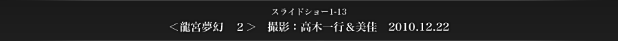 スライドショー1-13　＜龍宮夢幻　２＞　撮影：高木一行＆美佳　2010.12.22
