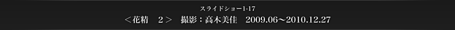 スライドショー1-17　＜花精　2＞　撮影：高木美佳　2009.06～2010.12.27