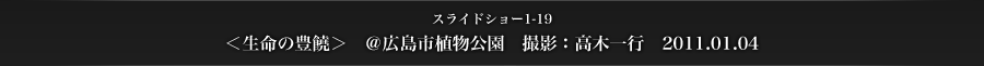 スライドショー1-19　＜生命の豊饒＞　＠広島市植物公園　撮影：高木一行　2011.01.04