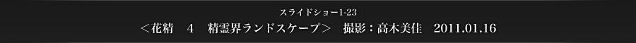 スライドショー1-23　＜花精　４　精霊界ランドスケープ＞　撮影：高木美佳　2011.01.16