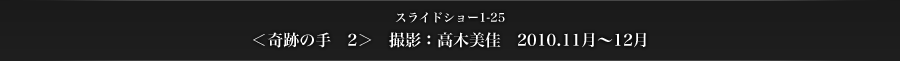 スライドショー1-25　＜奇跡の手　２＞　撮影：高木美佳　2010.11月～12月