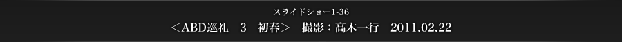 スライドショー1-36　＜ABD巡礼　3　初春＞　撮影：高木一行　2011.02.22