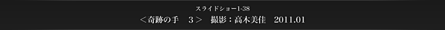 スライドショー1-38　＜奇跡の手　３＞　撮影：高木美佳　2011.01