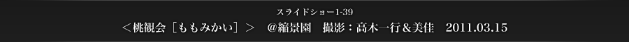 スライドショー1-39　＜桃観会［ももみかい］＞　＠縮景園　撮影：高木一行＆美佳　2011.03.15