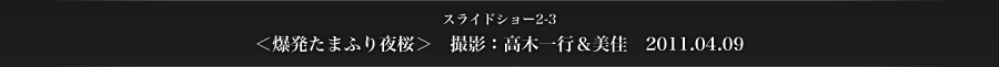 スライドショー2-3　＜爆発たまふり夜桜＞　撮影：高木一行＆美佳　2011.04.09