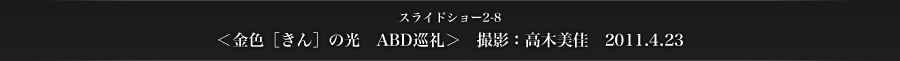 スライドショー2-8　＜金色［きん］の光　ABD巡礼＞　撮影：高木美佳　2011.4.23