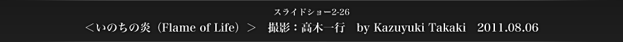 スライドショー2-26　＜いのちの炎（Flame of Life）＞　撮影：高木一行　by Kazuyuki Takaki　2011.08.06
