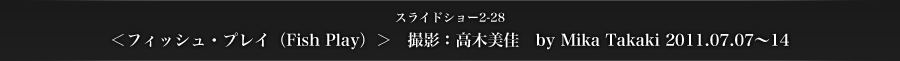 スライドショー2-28　＜フィッシュ・プレイ（Fish Play）＞　撮影：高木美佳　by Mika Takaki 2011.07.07～14
