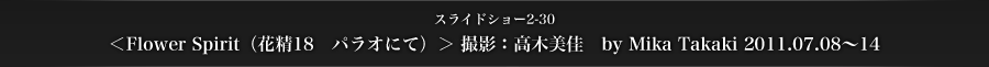 スライドショー2-30　＜Flower Spirit（花精18　パラオにて）＞ 撮影：高木美佳　by Mika Takaki 2011.07.08～14