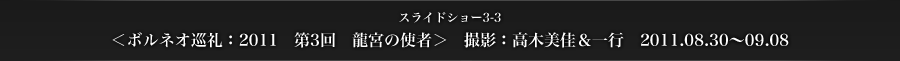 スライドショー3-3　＜ボルネオ巡礼：2011　第3回　龍宮の使者＞　撮影：高木美佳＆一行　2011.08.30〜09.08