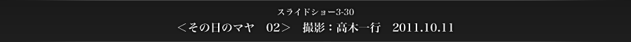 スライドショー3-30　その日のマヤ　02　撮影：高木一行　2011.10.11
