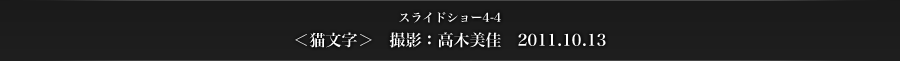 スライドショー4-4　＜猫文字＞　撮影：高木美佳　2011.10.13