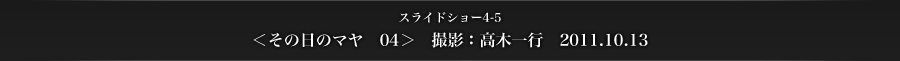 スライドショー4-5　＜その日のマヤ 04＞　撮影：高木一行　2011.10.13