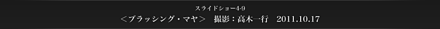スライドショー4-9　＜ブラッシング・マヤ＞　撮影：高木一行　2011.10.17