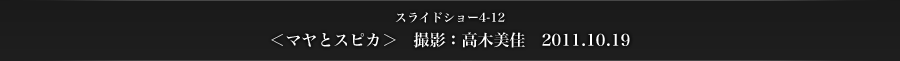 スライドショー4-12　＜マヤとスピカ＞　撮影：高木美佳　2011.10.19