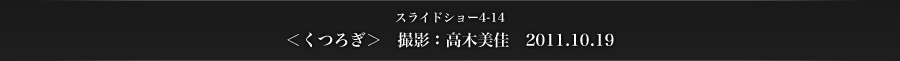 スライドショー4-14　＜くつろぎ＞　撮影：高木美佳　2011.10.19