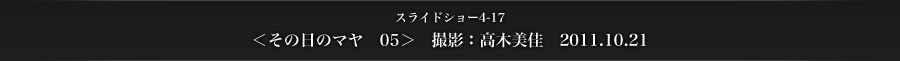 スライドショー4-17　＜その日のマヤ　05＞　撮影：高木美佳　2011.10.21
