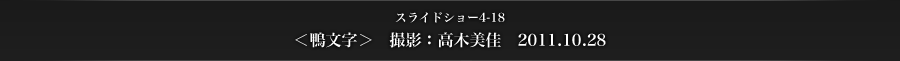 スライドショー4-18　＜鴨文字＞　撮影：高木美佳　2011.10.28