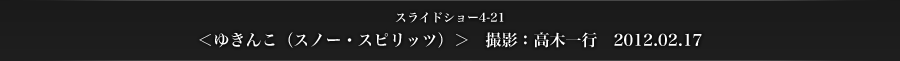 スライドショー4-21　＜ゆきんこ（スノー・スピリッツ）＞　撮影：高木一行　2012.02.17