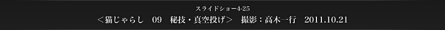 スライドショー4-25　＜猫じゃらし　09　秘技・真空投げ＞　撮影：高木一行　2011.10.21