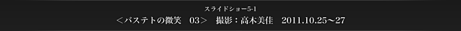スライドショー5-1　＜バステトの微笑　03＞　撮影：高木美佳　2011.10.25～27