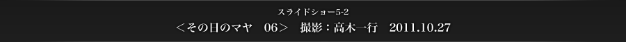 スライドショー5-2　＜その日のマヤ　06＞　撮影：高木一行　2011.10.27