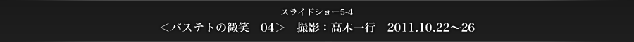 スライドショー　5-4　＜バステトの微笑　04＞　撮影：高木一行　2011.10.22～26
