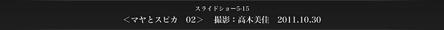 スライドショー5-15　＜マヤとスピカ　02＞　 撮影：高木美佳　2011.10.30