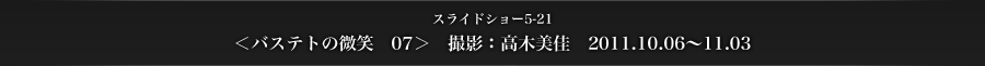 スライドショー5-21　＜バステトの微笑　07＞　撮影：高木美佳　2011.10.06～11.03