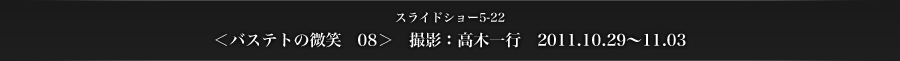 スライドショー5-22　＜バステトの微笑　08＞　撮影：高木一行　2011.10.29～11.03