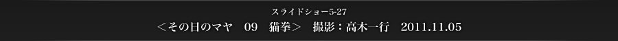 スライドショー5-27　＜その日のマヤ　09　猫拳＞　撮影：高木一行　2011.11.05