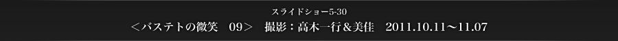 スライドショー5-30　＜バステトの微笑　09＞　撮影：高木一行＆美佳　2011.10.11～11.07