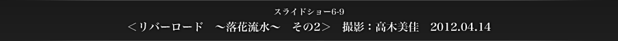 スライドショー6-9　＜リバーロード　～落花流水～　その2＞　撮影：高木美佳　2012.04.14