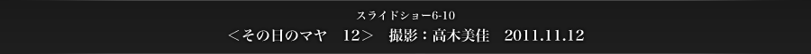 スライドショー6-10　＜その日のマヤ　12＞　撮影：高木美佳　2011.11.12
