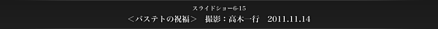 スライドショー6-15　＜バステトの祝福＞　撮影：高木一行　2011.11.14