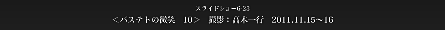 スライドショー6-23　＜バステトの微笑　10＞　撮影：高木一行　2011.11.15～16