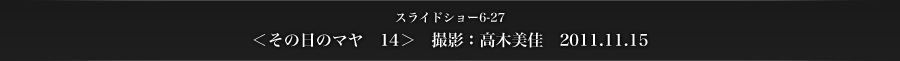 スライドショー6-27　＜その日のマヤ　14＞　撮影：高木美佳　2011.11.15