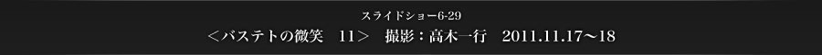 スライドショー6-29　＜バステトの微笑　11＞　撮影：高木一行　2011.11.17～18