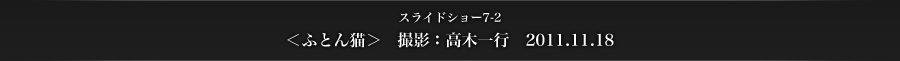 スライドショー7-2　＜ふとん猫＞　撮影：高木一行　2011.11.18