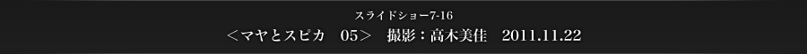 スライドショー7-16　＜マヤとスピカ　05＞　撮影：高木美佳　2011.11.22